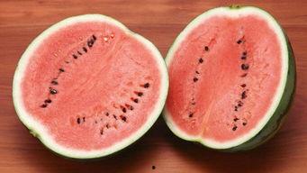 娱乐吃瓜酱属于什么领域