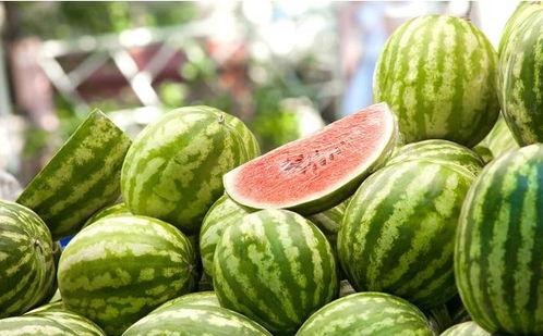 娱乐吃瓜酱属于什么领域